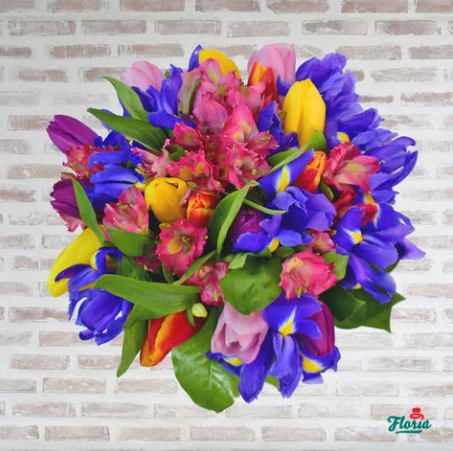 Floria