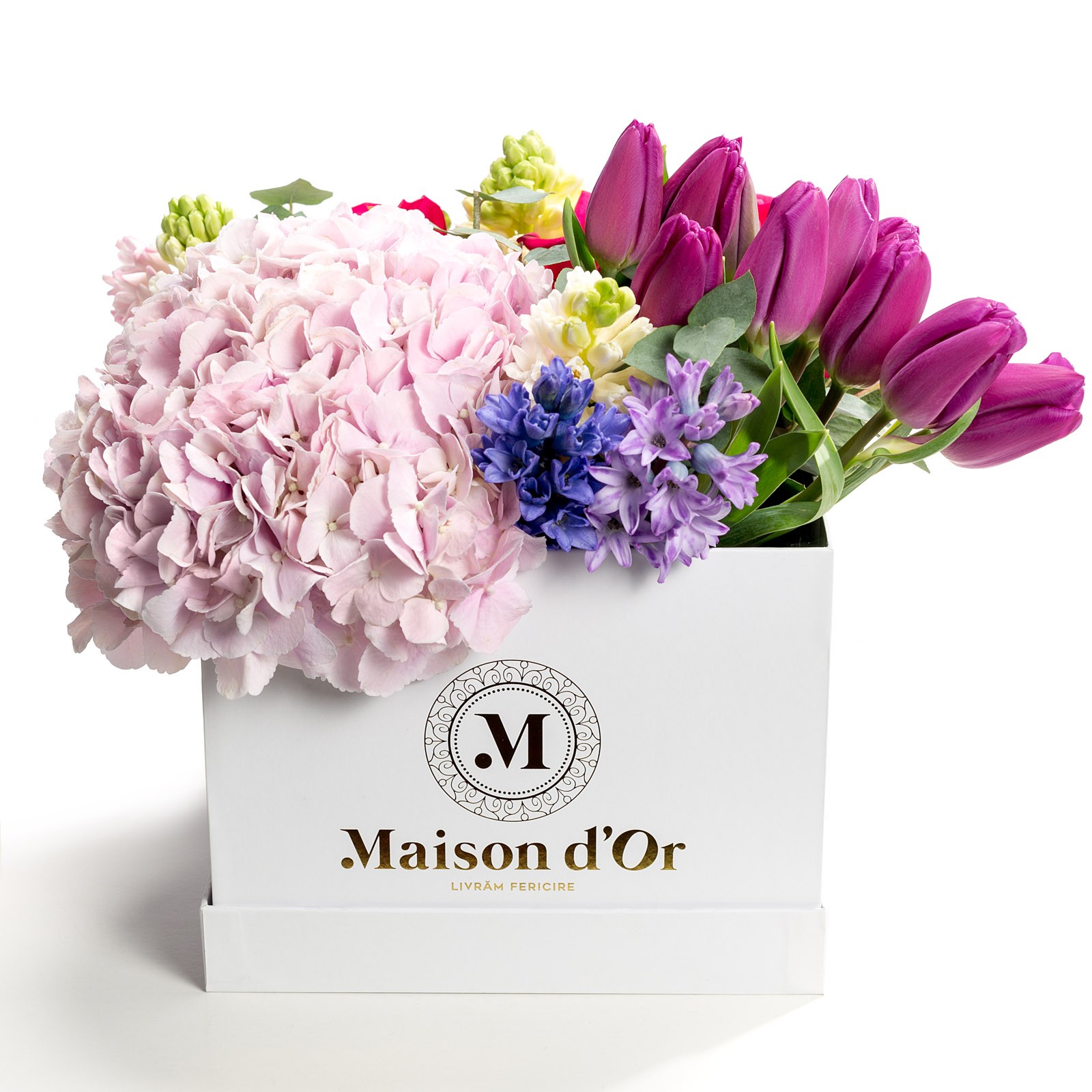 Maisondor