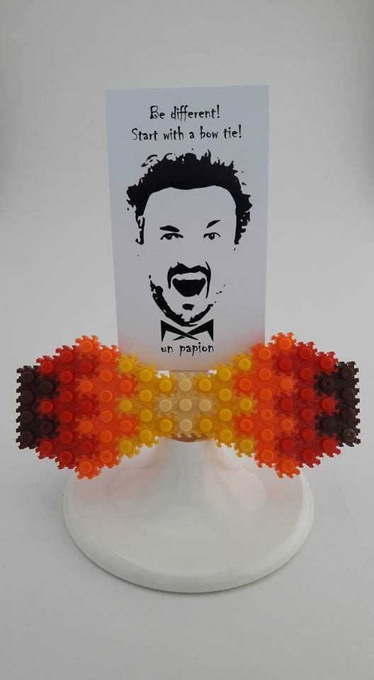 Papion Lego