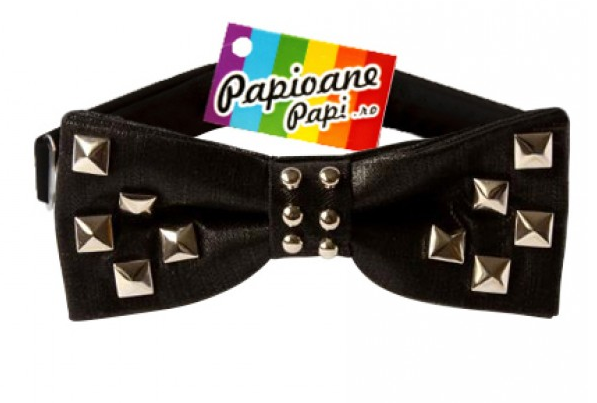Papio Rock’N’Roll