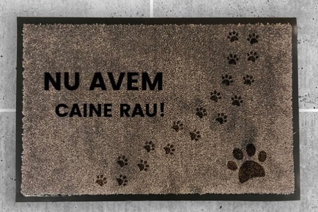 Covoras de intrare Stargift