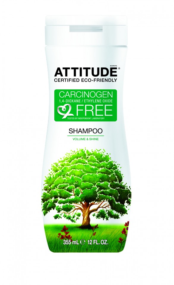Attitude