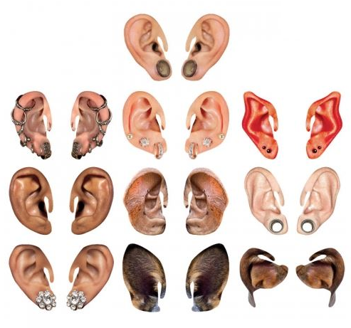 Set urechi uriase