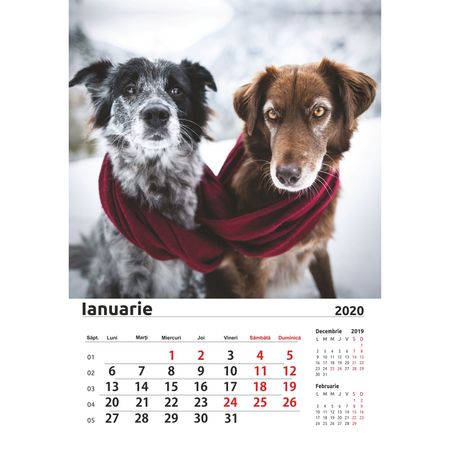 Calendar de perete cu caini