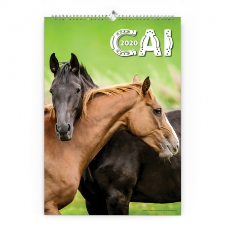 Calendar de perete cu cai