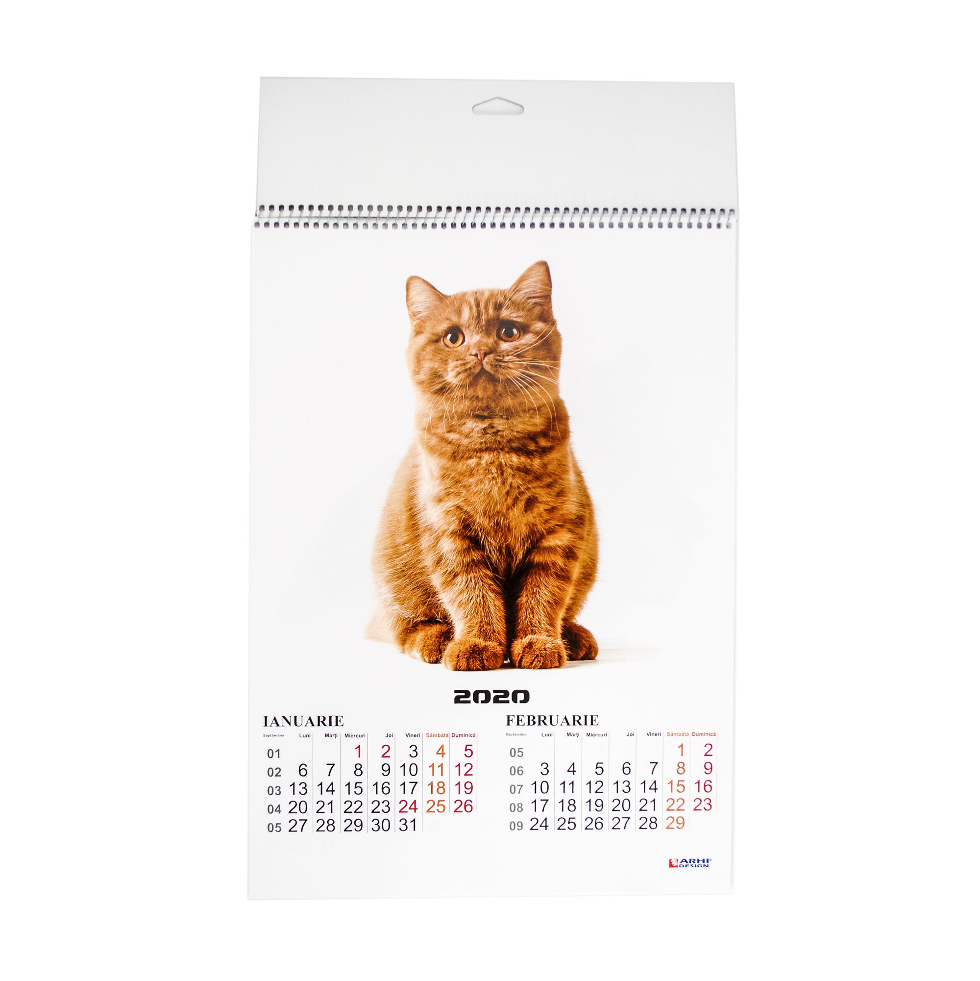 Calendar de perete cu pisici 