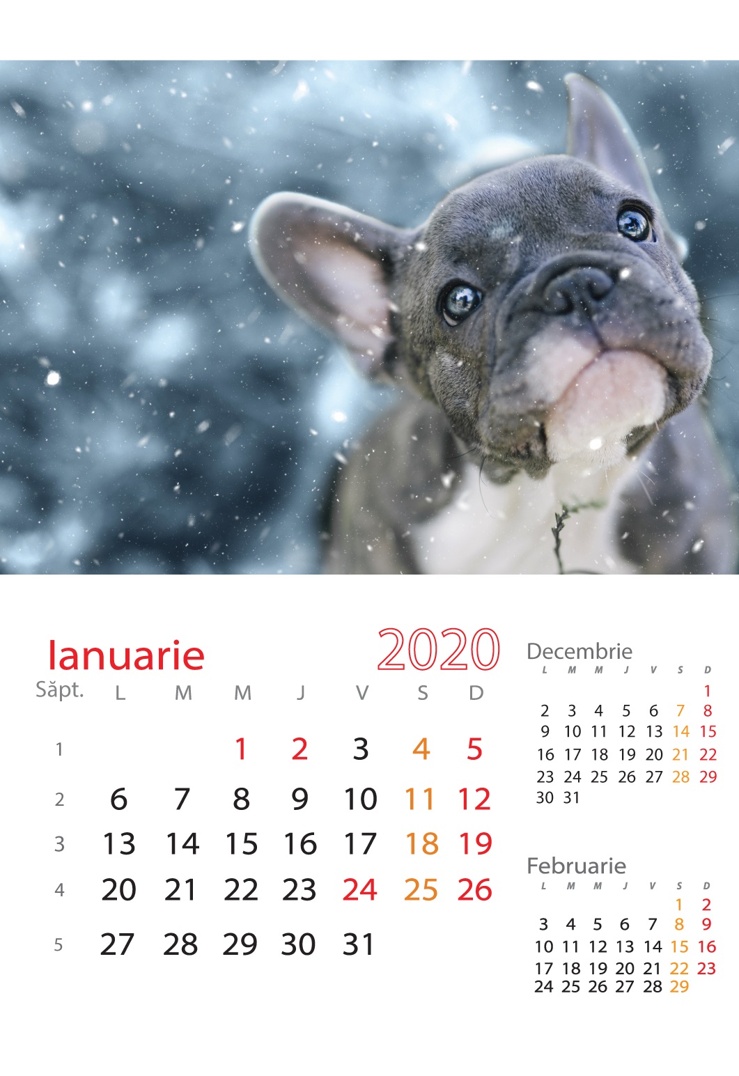 Calendar de perete cu caini